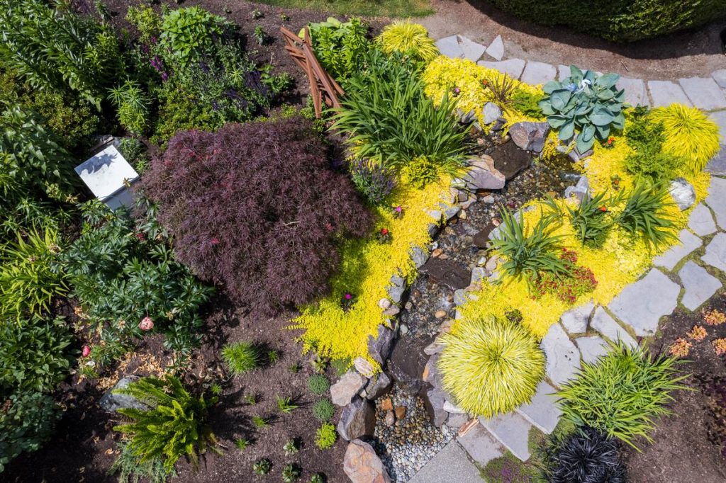 Aerial view of landscaped garden with stone pathway and Japanese maple
